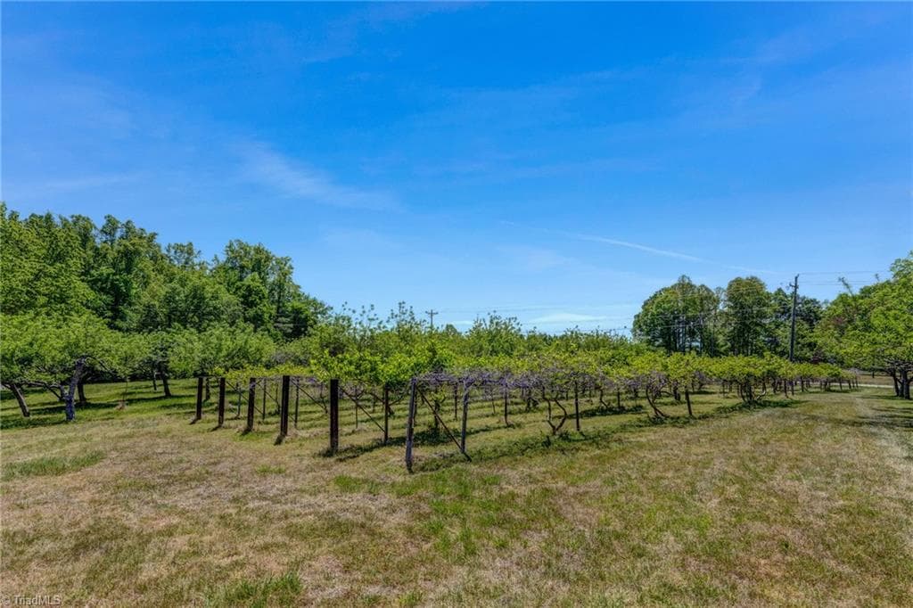Stick/Site Built at 771 NC Highway 150, Reidsville NC 27320, Reidsville, photo 63 of 100