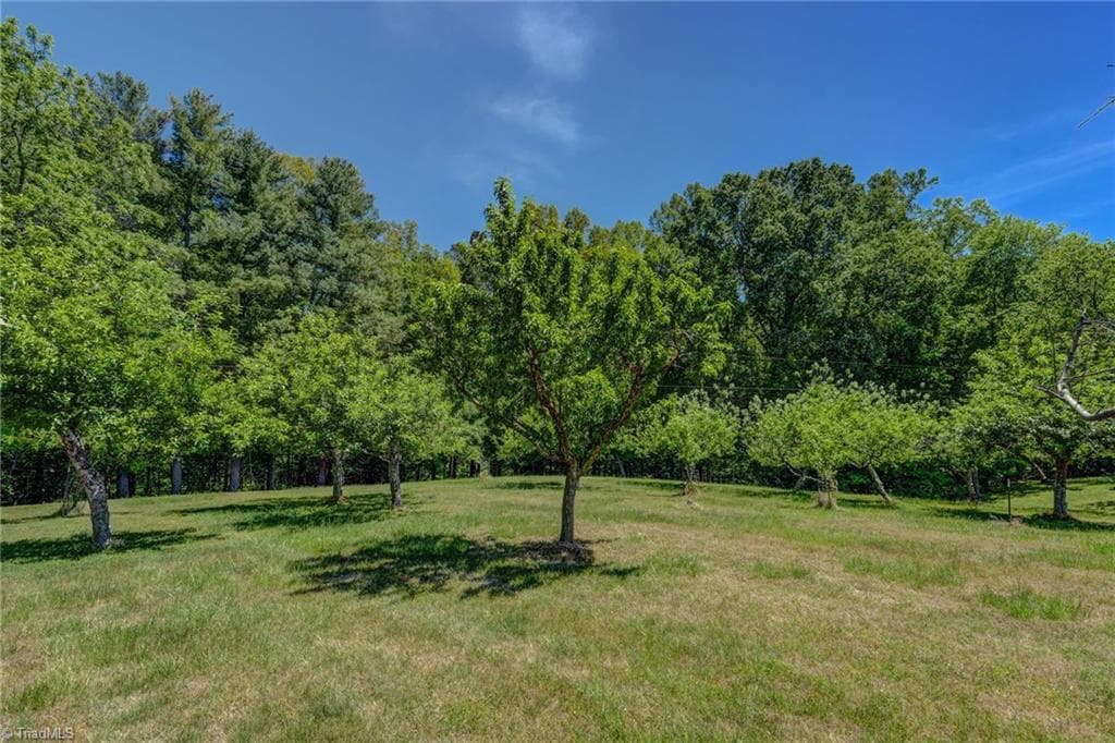 Stick/Site Built at 771 NC Highway 150, Reidsville NC 27320, Reidsville, photo 55 of 100