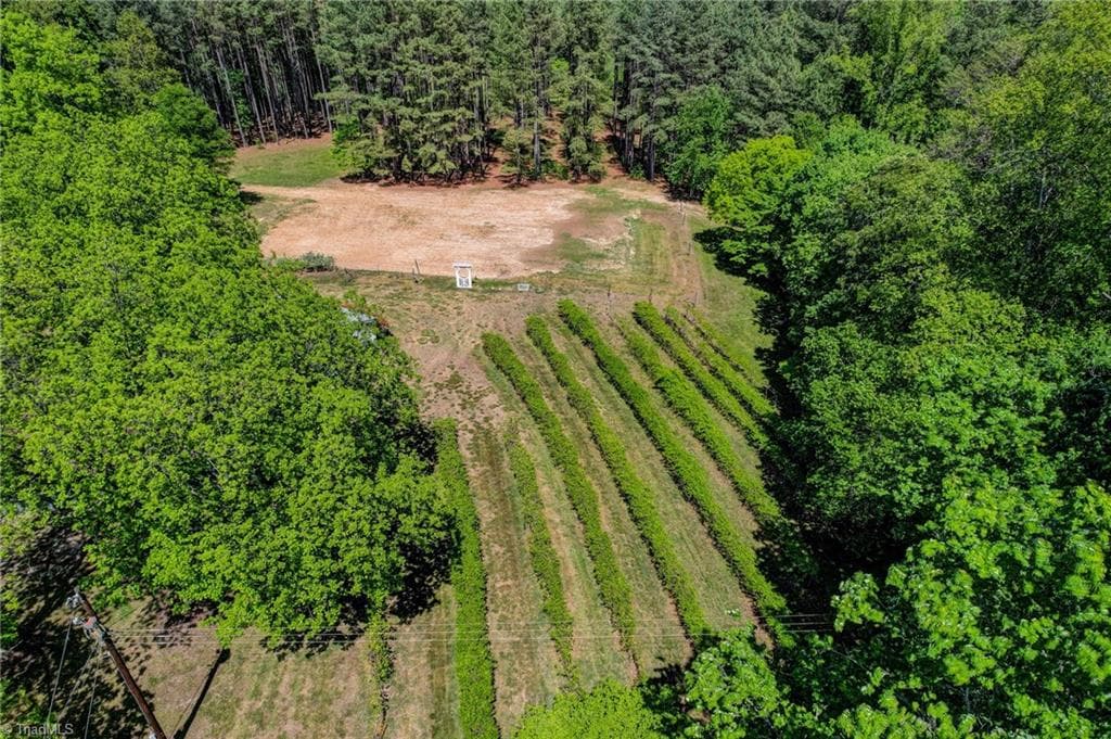 Stick/Site Built at 771 NC Highway 150, Reidsville NC 27320, Reidsville, photo 47 of 100
