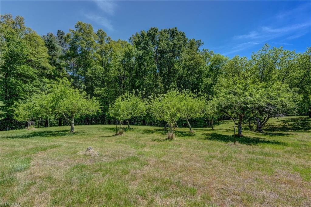Stick/Site Built at 771 NC Highway 150, Reidsville NC 27320, Reidsville, photo 59 of 100