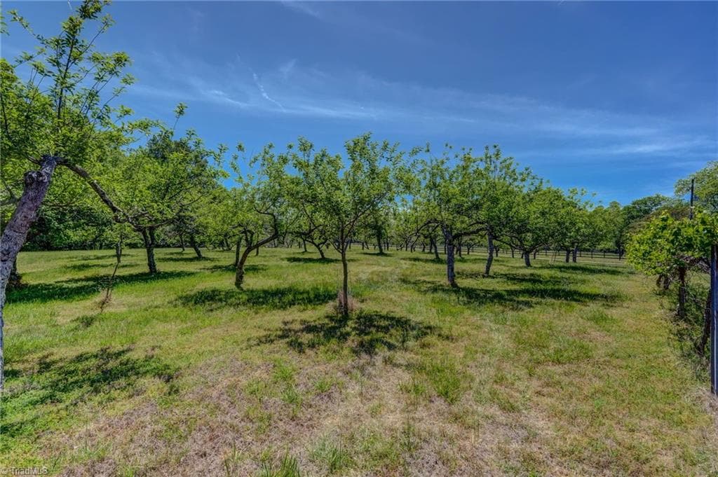 Stick/Site Built at 771 NC Highway 150, Reidsville NC 27320, Reidsville, photo 67 of 100