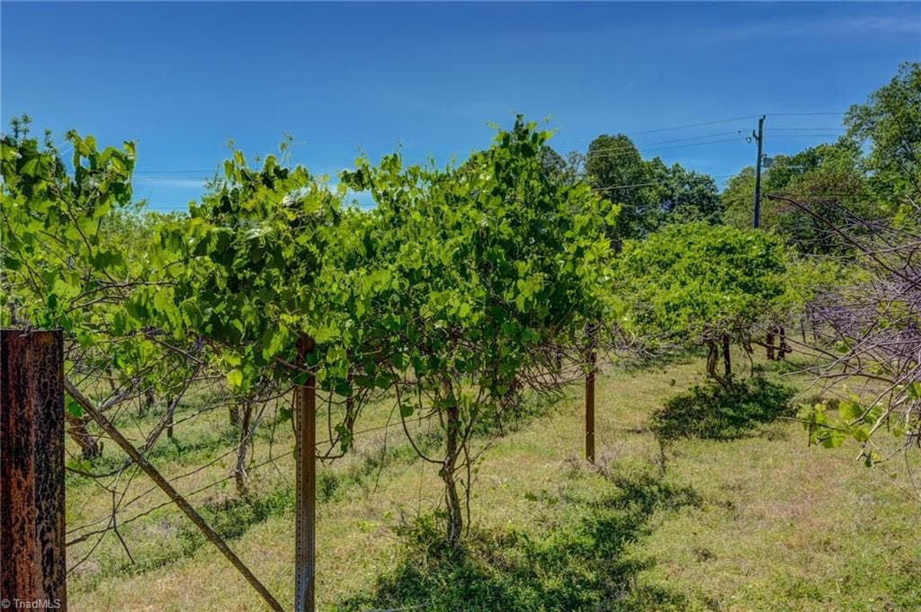 Stick/Site Built at 771 NC Highway 150, Reidsville NC 27320, Reidsville, photo 65 of 100