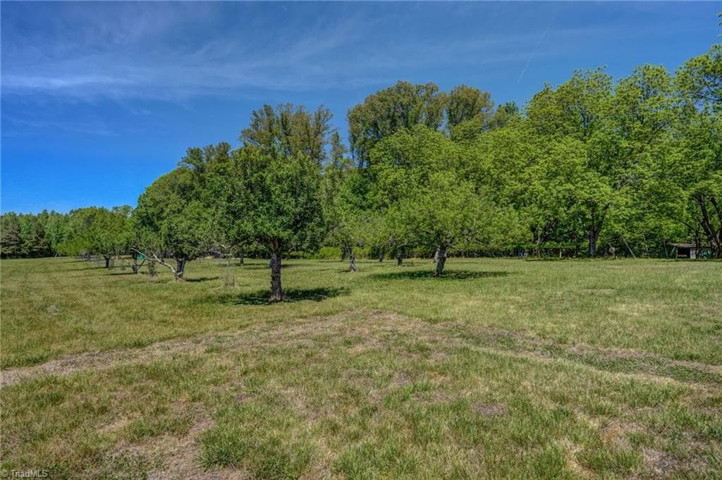 Stick/Site Built at 771 NC Highway 150, Reidsville NC 27320, Reidsville, photo 79 of 100