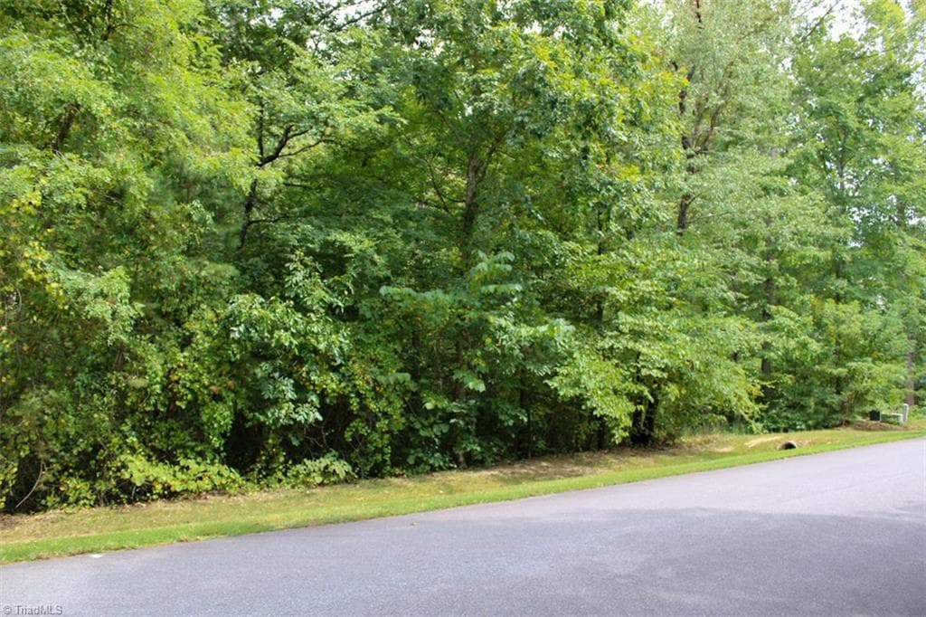 Single Family Residence at 238 Bluff Lane, Salisbury NC 28146, Salisbury, photo 18 of 21