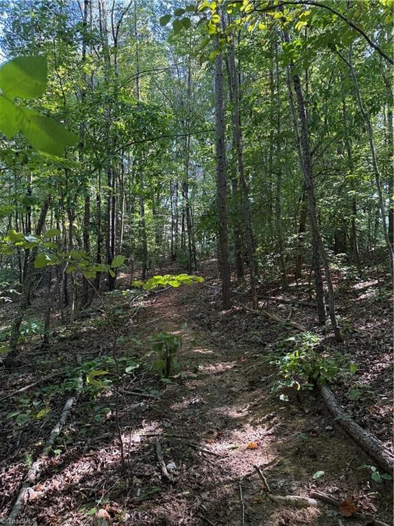 Manufactured Home at 5102 Waynick Meadow Road, Asheboro NC 27205, photo 5 of 12