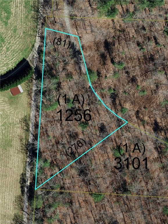 1653 Walshtown Road, Boomer NC 28606