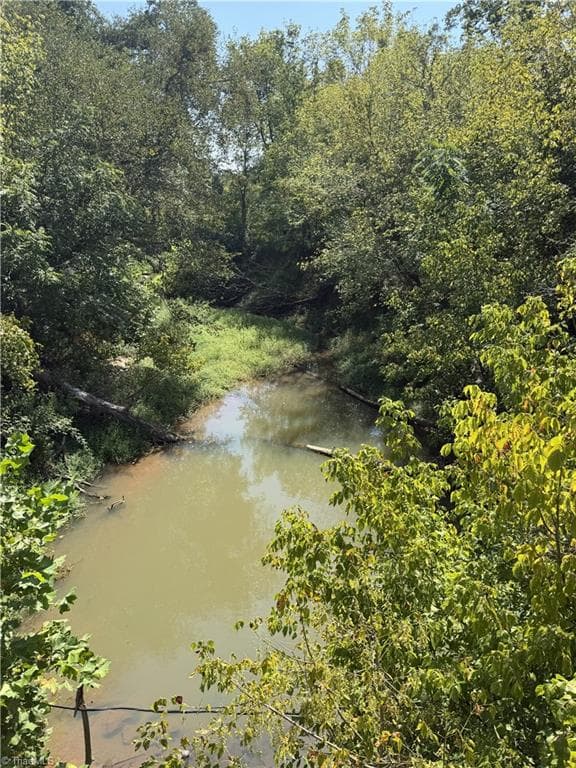 Unimproved Land at 0000 Cook Florist Road, Reidsville NC 27320, photo 6 of 10