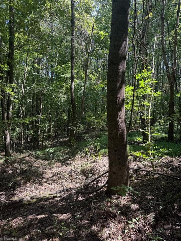 Unimproved Land at 0000 Cook Florist Road, Reidsville NC 27320, photo 5 of 10