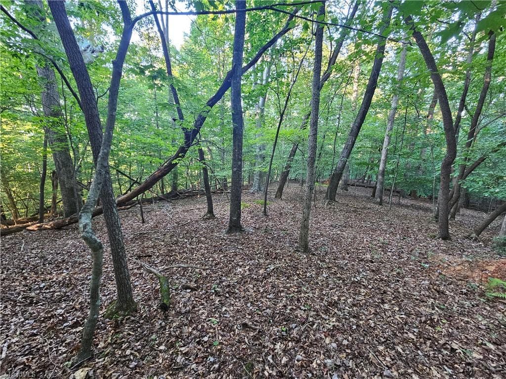 Stick/Site Built at 143- James Street, Elkin NC 28621, photo 18 of 45