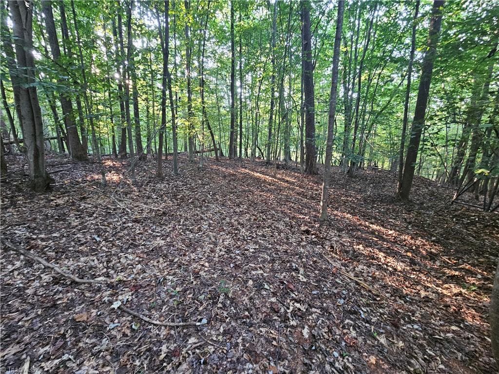 Stick/Site Built at 143- James Street, Elkin NC 28621, photo 37 of 45
