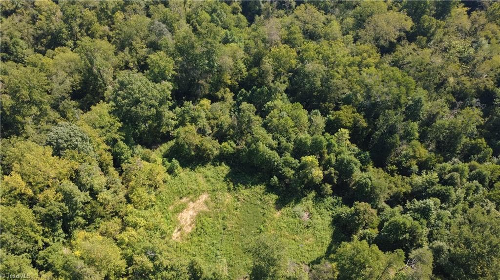 Unimproved Land at 0 Palisade Drive, Pfafftown NC 27040, photo 2 of 9