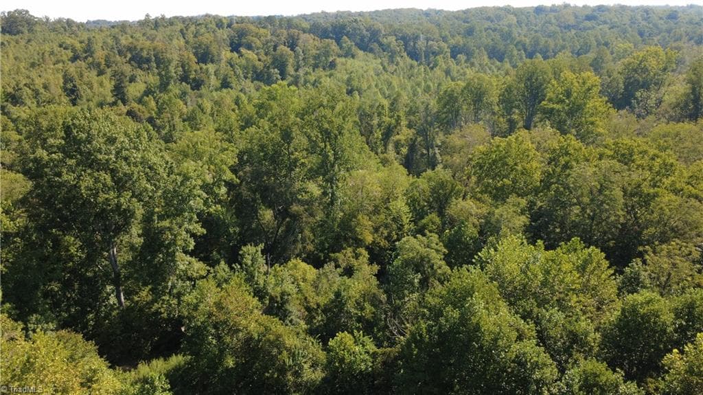Unimproved Land at 0 Palisade Drive, Pfafftown NC 27040, photo 6 of 9