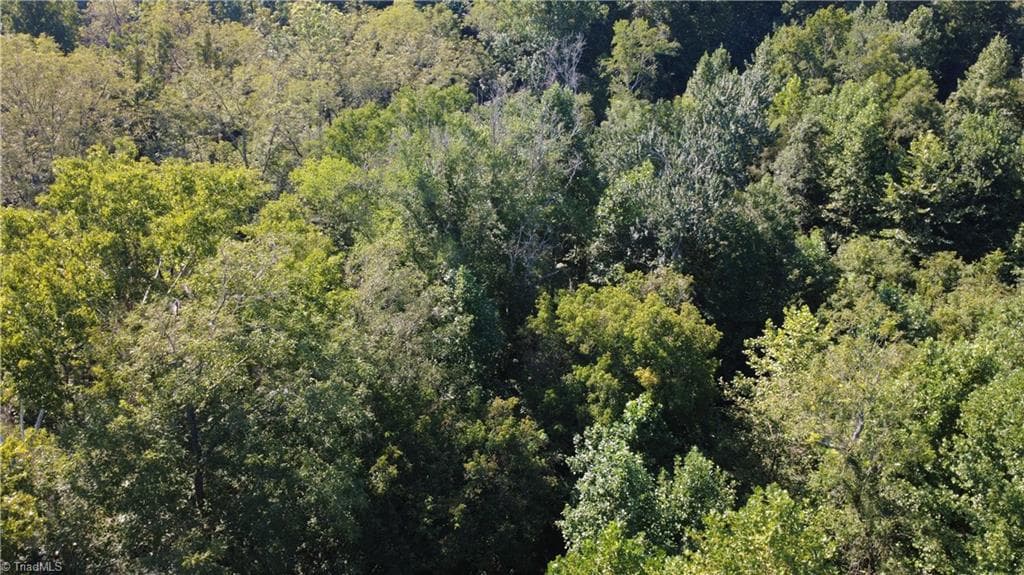 Unimproved Land at 0 Palisade Drive, Pfafftown NC 27040, photo 5 of 9