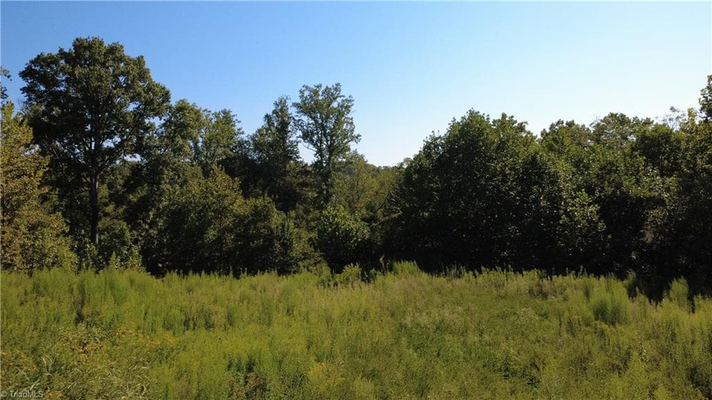 Unimproved Land at 0 Palisade Drive, Pfafftown NC 27040, photo 9 of 9