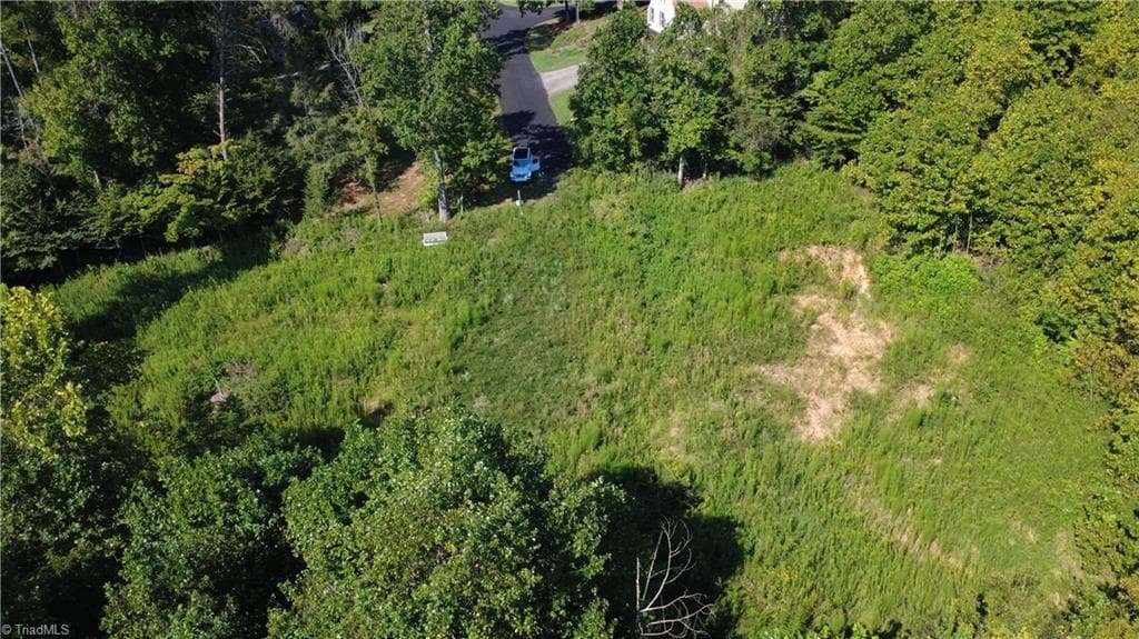 Unimproved Land at 0 Palisade Drive, Pfafftown NC 27040, photo 4 of 9