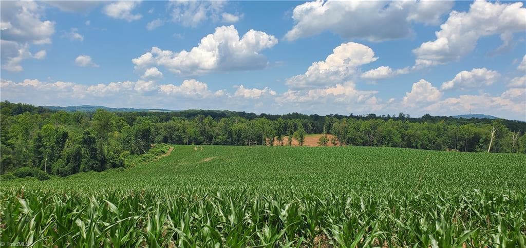 Unimproved Land at 3641 US Highway 21, Hamptonville NC 27020, photo 24 of 35