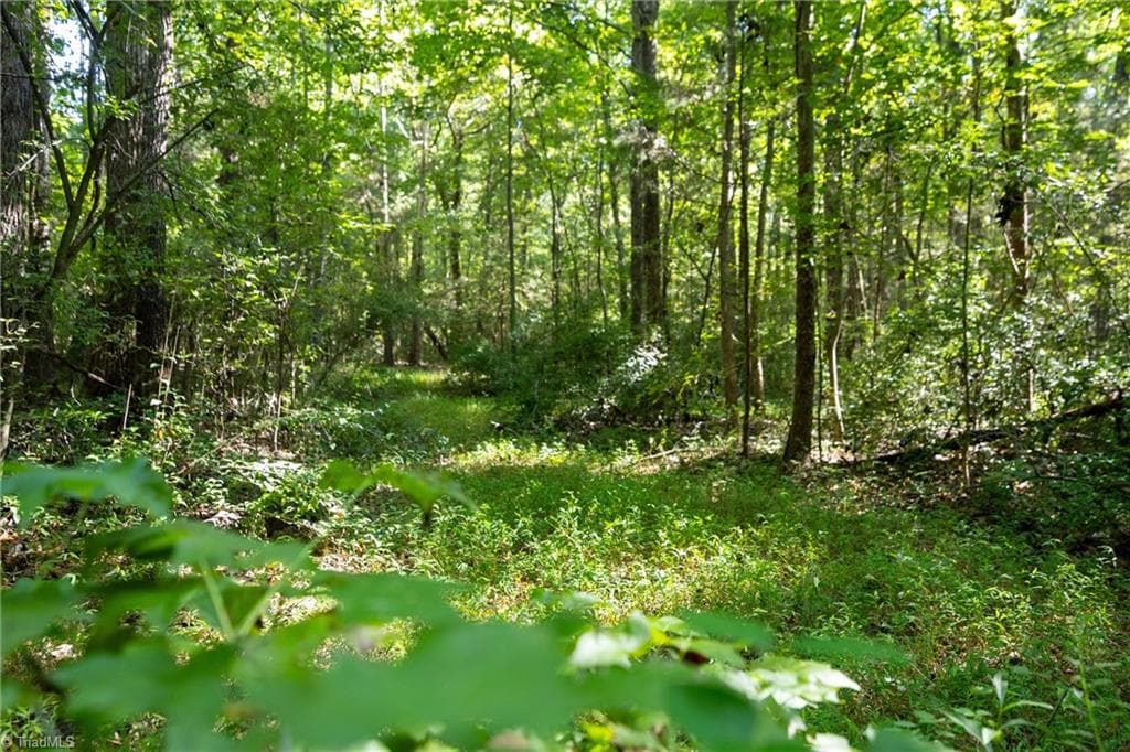 Single Family Residence at 00 Old Bradshaw Road, Salisbury NC 28147, Salisbury, photo 8 of 21