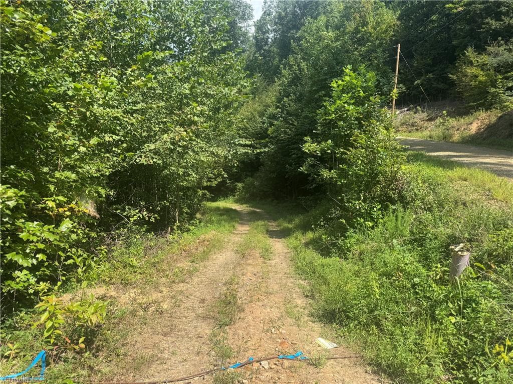 Unimproved Land at TBD Stony Fork Road, Ferguson NC 28624, photo 2 of 14