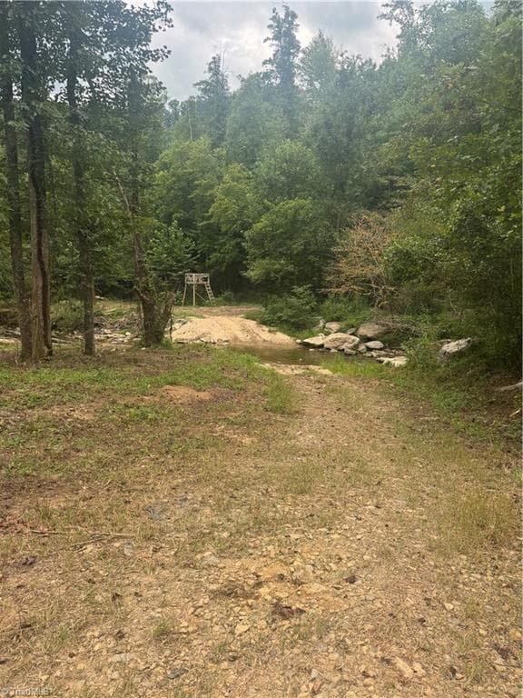 Unimproved Land at TBD Stony Fork Road, Ferguson NC 28624, photo 13 of 14