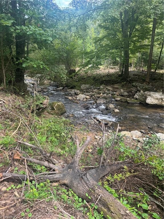 Unimproved Land at TBD Stony Fork Road, Ferguson NC 28624, photo 12 of 14