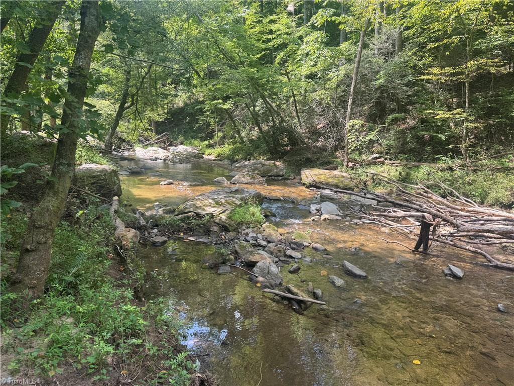 Unimproved Land at TBD Stony Fork Road, Ferguson NC 28624, photo 5 of 14