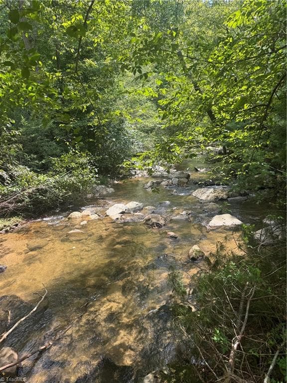 Unimproved Land at TBD Stony Fork Road, Ferguson NC 28624, photo 9 of 14