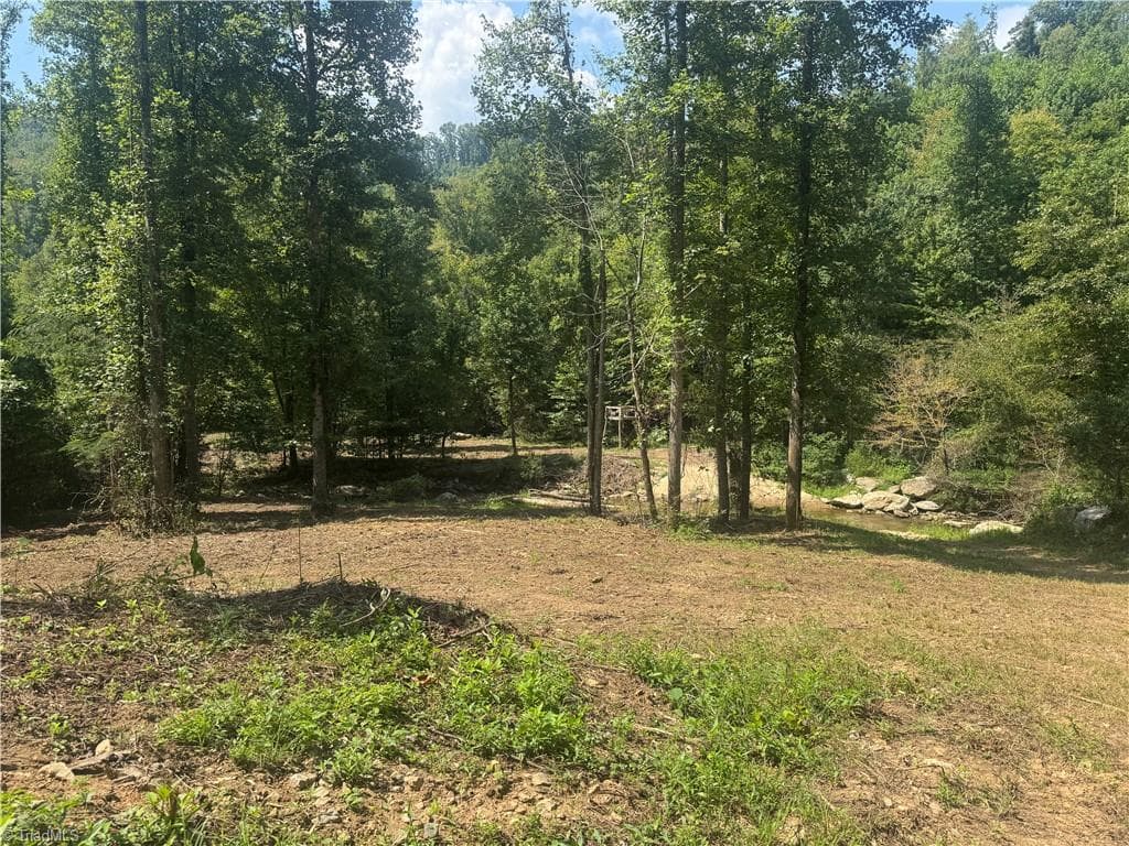 Unimproved Land at TBD Stony Fork Road, Ferguson NC 28624, photo 4 of 14