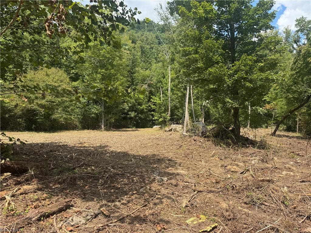 Unimproved Land at TBD Stony Fork Road, Ferguson NC 28624, photo 8 of 14