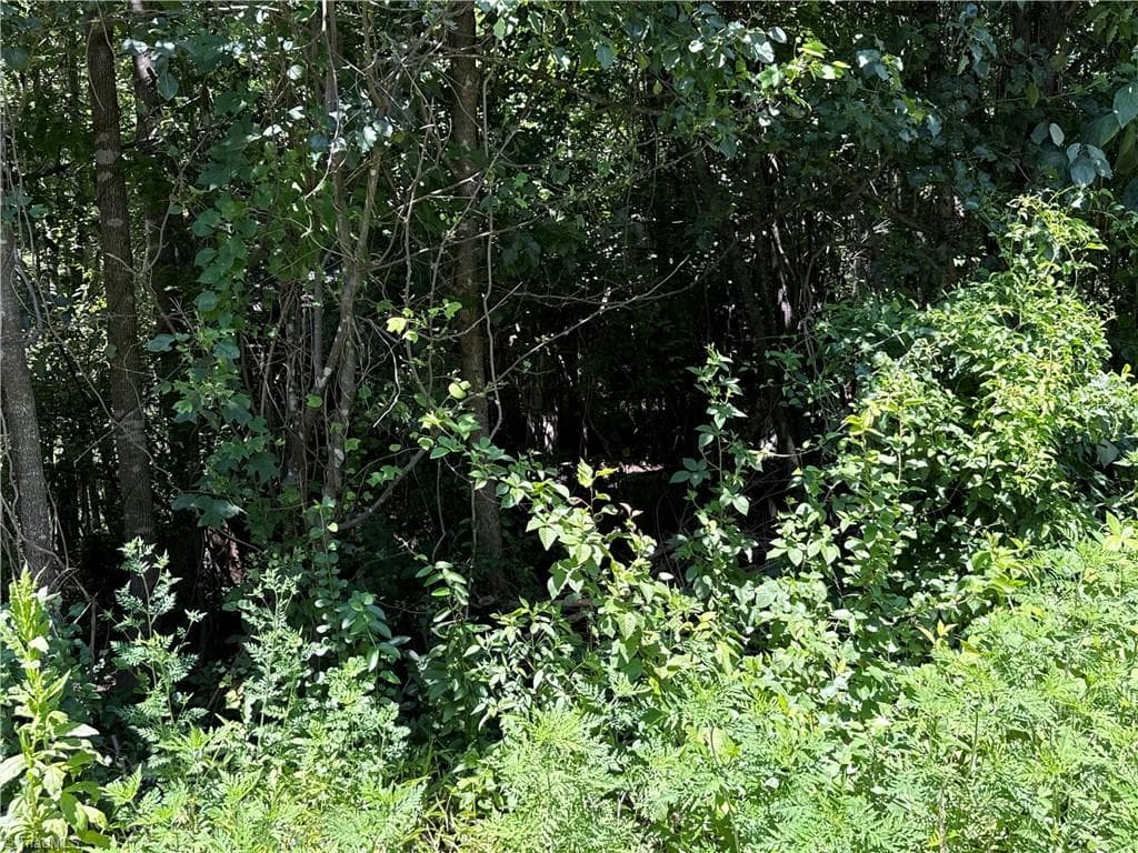 TBD Worthington Drive, North Wilkesboro NC 28659