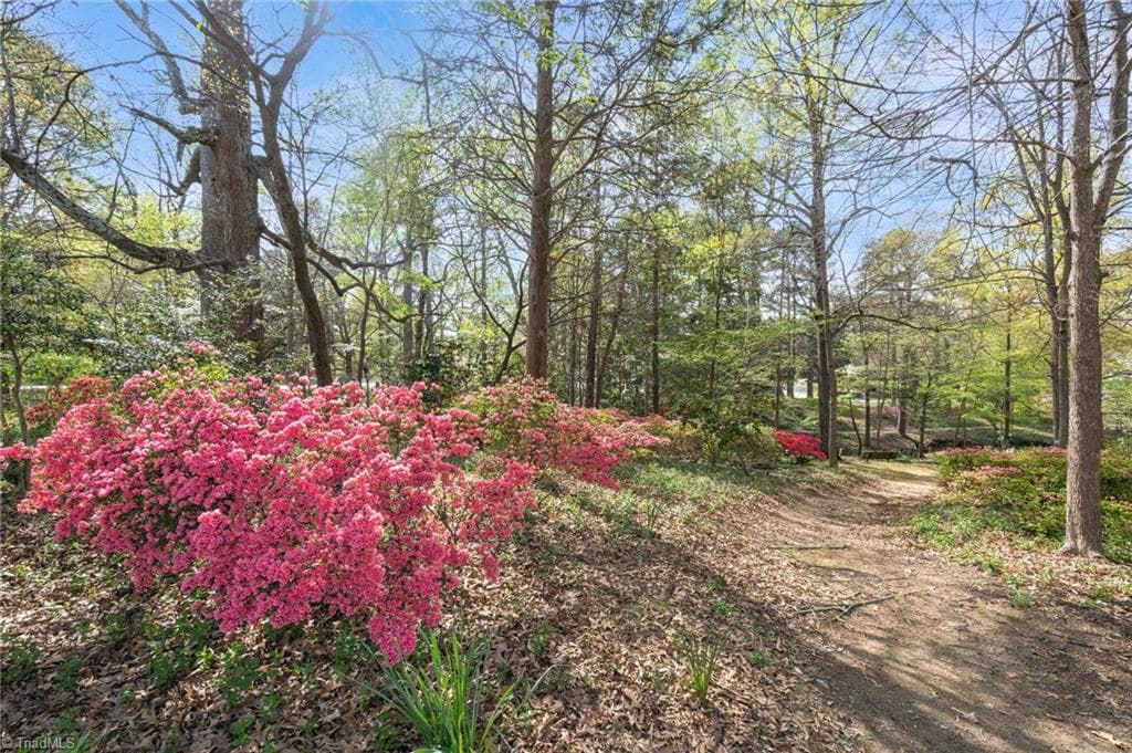 Stick/Site Built at 708 Magnolia Street, Greensboro NC 27401, photo 39 of 43