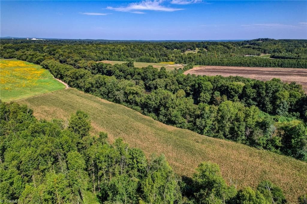 Unimproved Land at 1155 Chumney Loop, Eden NC 27288, photo 16 of 19