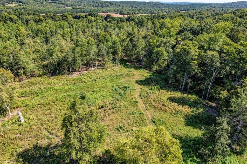Unimproved Land at 1155 Chumney Loop, Eden NC 27288, photo 12 of 19