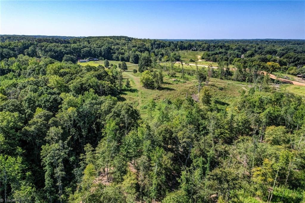 Unimproved Land at 1155 Chumney Loop, Eden NC 27288, photo 14 of 19