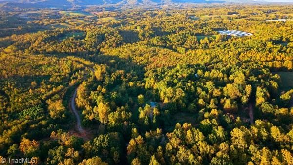 Unimproved Land at Off Bauguess Mill Road, Traphill NC 28685, photo 23 of 26