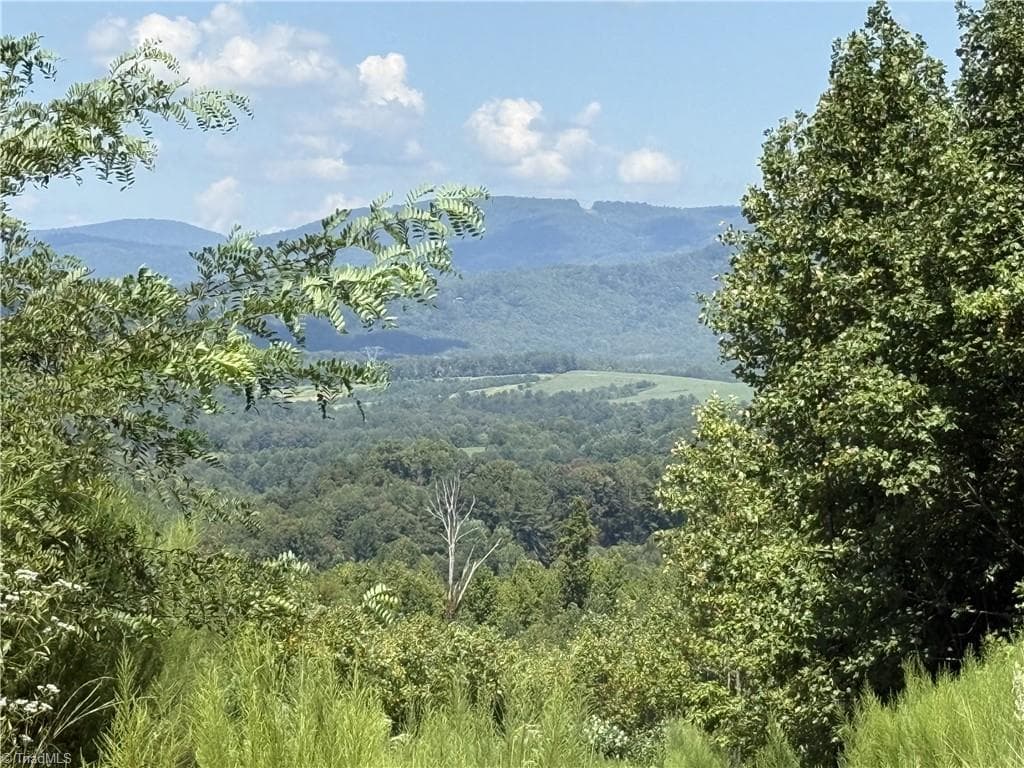 Unimproved Land at Off Bauguess Mill Road, Traphill NC 28685, photo 6 of 26
