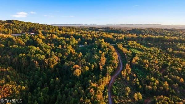 Unimproved Land at Off Bauguess Mill Road, Traphill NC 28685, photo 13 of 26