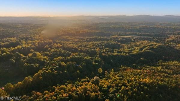 Unimproved Land at Off Bauguess Mill Road, Traphill NC 28685, photo 17 of 26