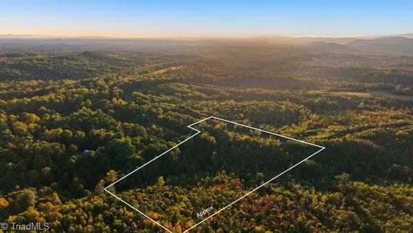 Unimproved Land at Off Bauguess Mill Road, Traphill NC 28685, photo 16 of 26
