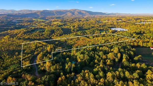 Unimproved Land at Off Bauguess Mill Road, Traphill NC 28685, photo 22 of 26