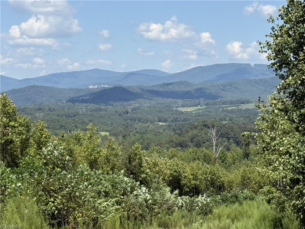 Off Bauguess Mill Road, Traphill NC 28685