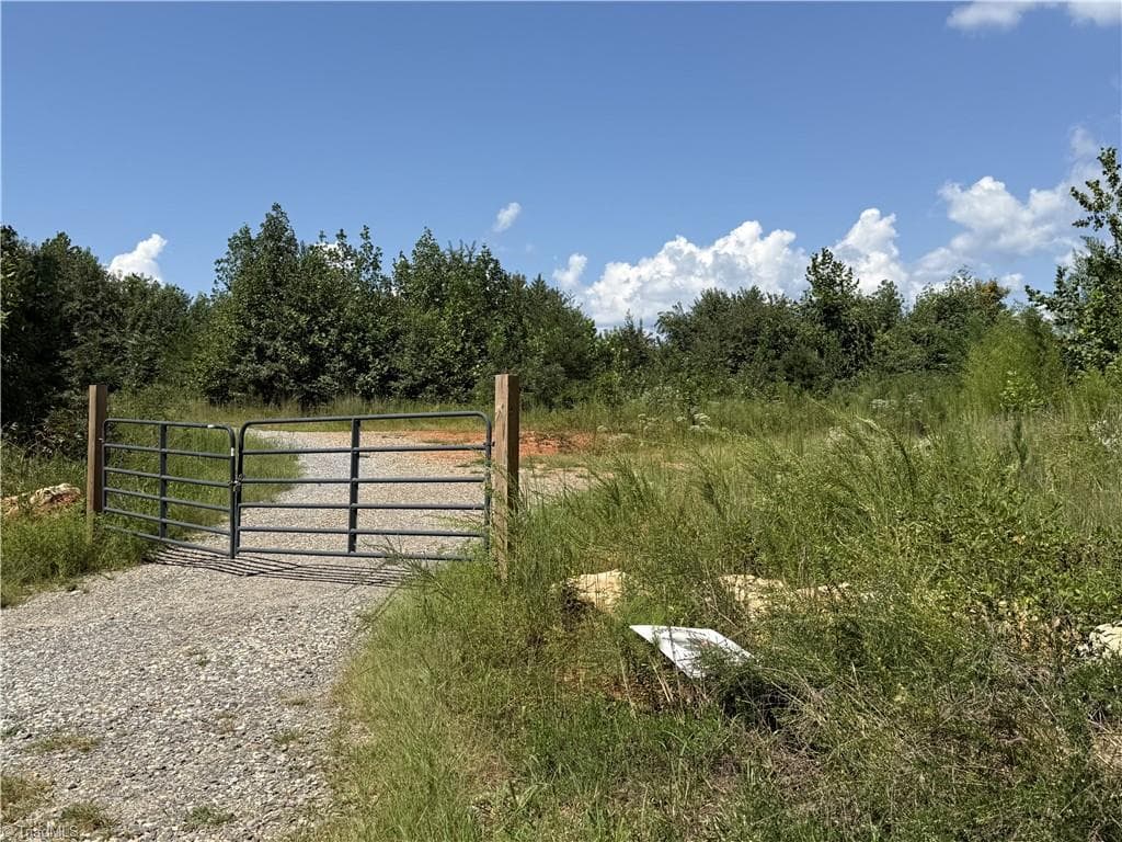 Unimproved Land at Off Bauguess Mill Road, Traphill NC 28685, photo 5 of 26