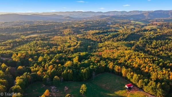 Unimproved Land at Off Bauguess Mill Road, Traphill NC 28685, photo 20 of 26