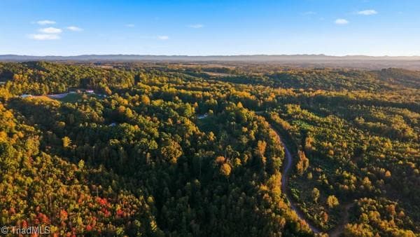 Unimproved Land at Off Bauguess Mill Road, Traphill NC 28685, photo 14 of 26