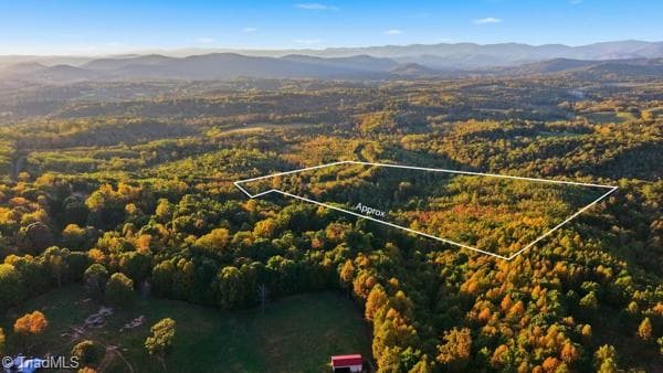 Unimproved Land at Off Bauguess Mill Road, Traphill NC 28685, photo 19 of 26