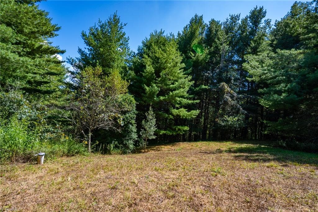 Unimproved Land at 257 Alta Vista Lane, Sparta NC 28675, photo 3 of 22