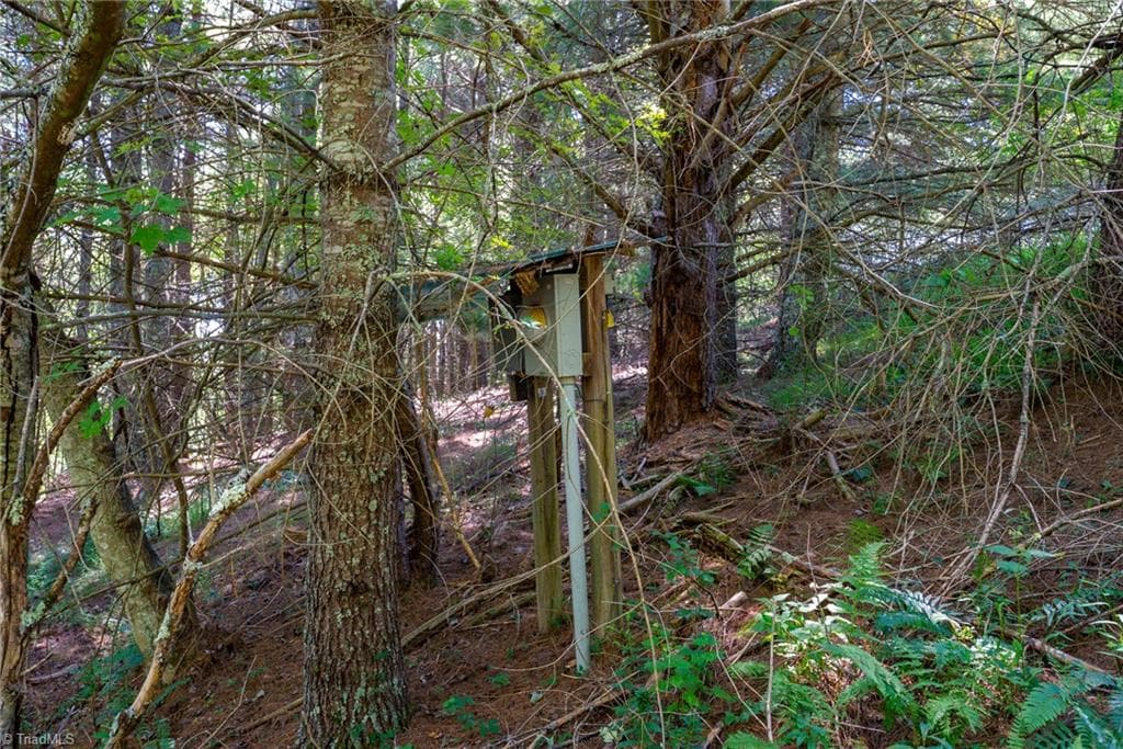 Unimproved Land at 257 Alta Vista Lane, Sparta NC 28675, photo 5 of 22