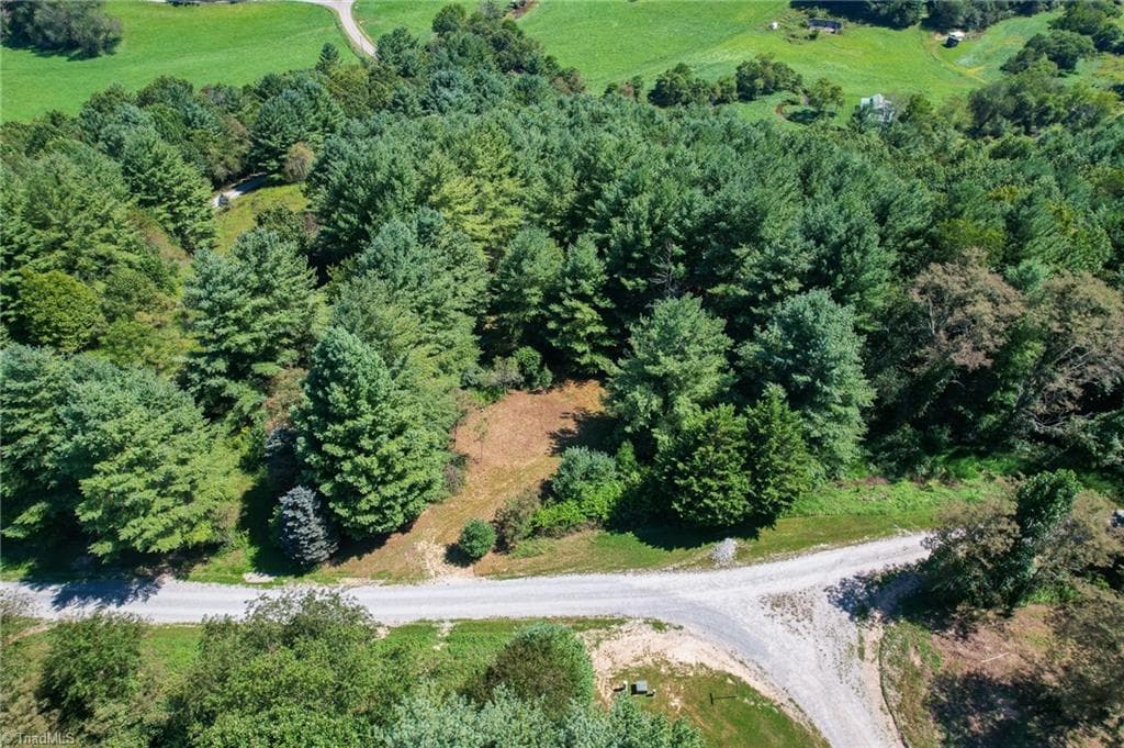Unimproved Land at 257 Alta Vista Lane, Sparta NC 28675, photo 9 of 22