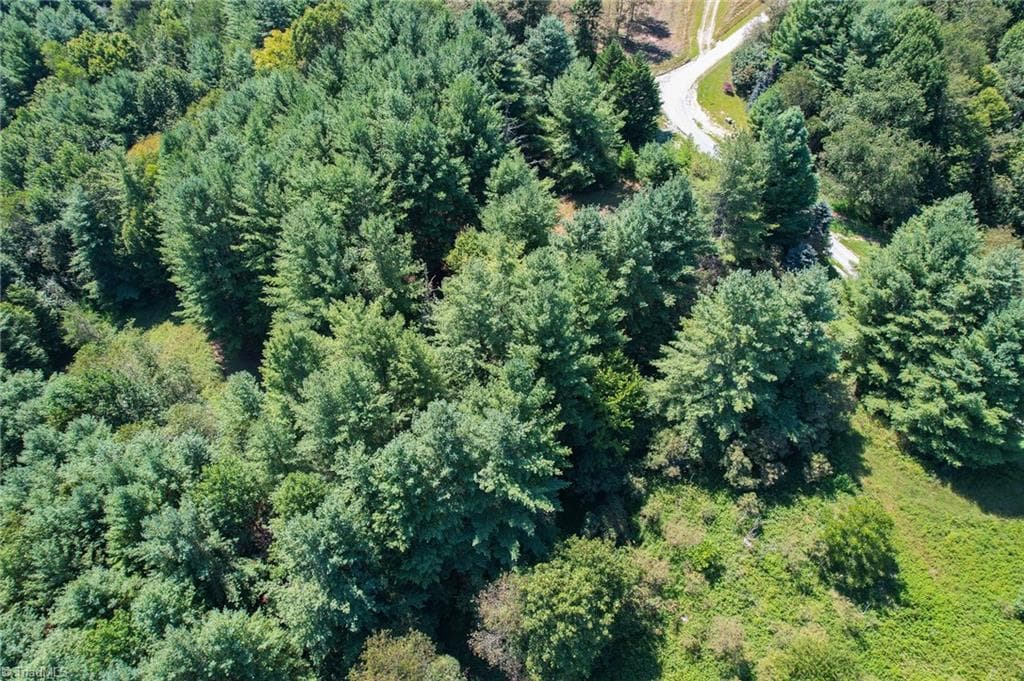 Unimproved Land at 257 Alta Vista Lane, Sparta NC 28675, photo 11 of 22