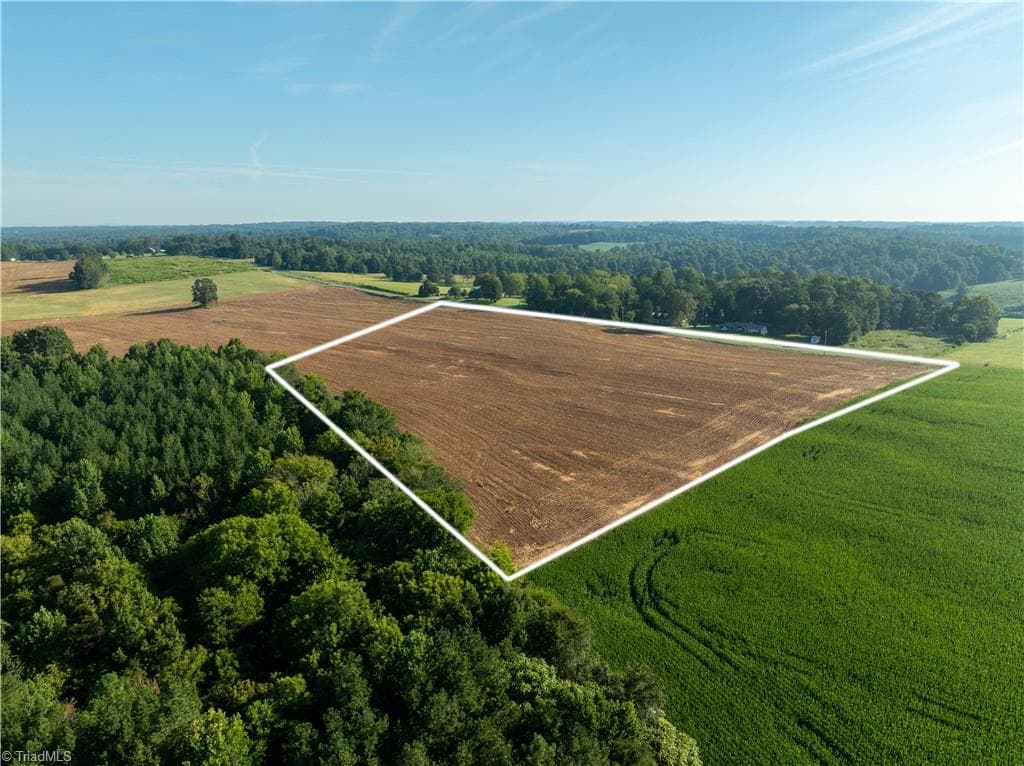 Agriculture at 13.44 +/- acres Chief Thomas Road, Harmony NC 28634, Harmony, photo 6 of 26