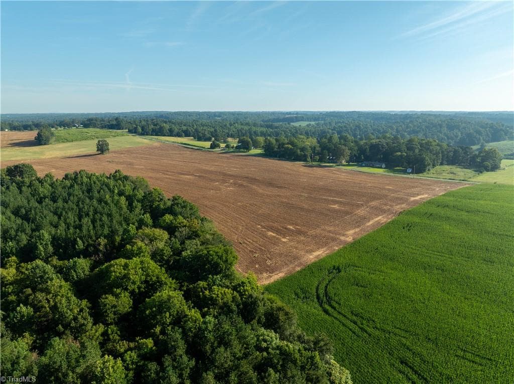 Agriculture at 13.44 +/- acres Chief Thomas Road, Harmony NC 28634, Harmony, photo 5 of 26